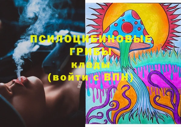 молекула духа Киреевск