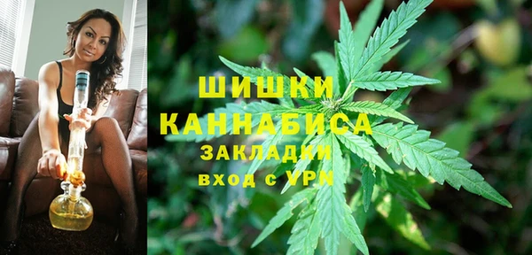 молекула духа Киреевск