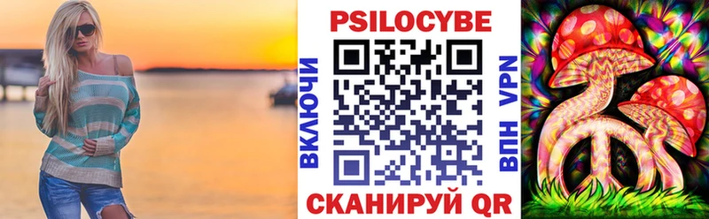 Купить  Дмитров  Галлюциногенные грибы MAGIC MUSHROOMS 