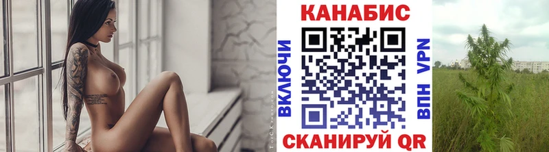 Купить закладки  Дмитров  Каннабис марихуана 